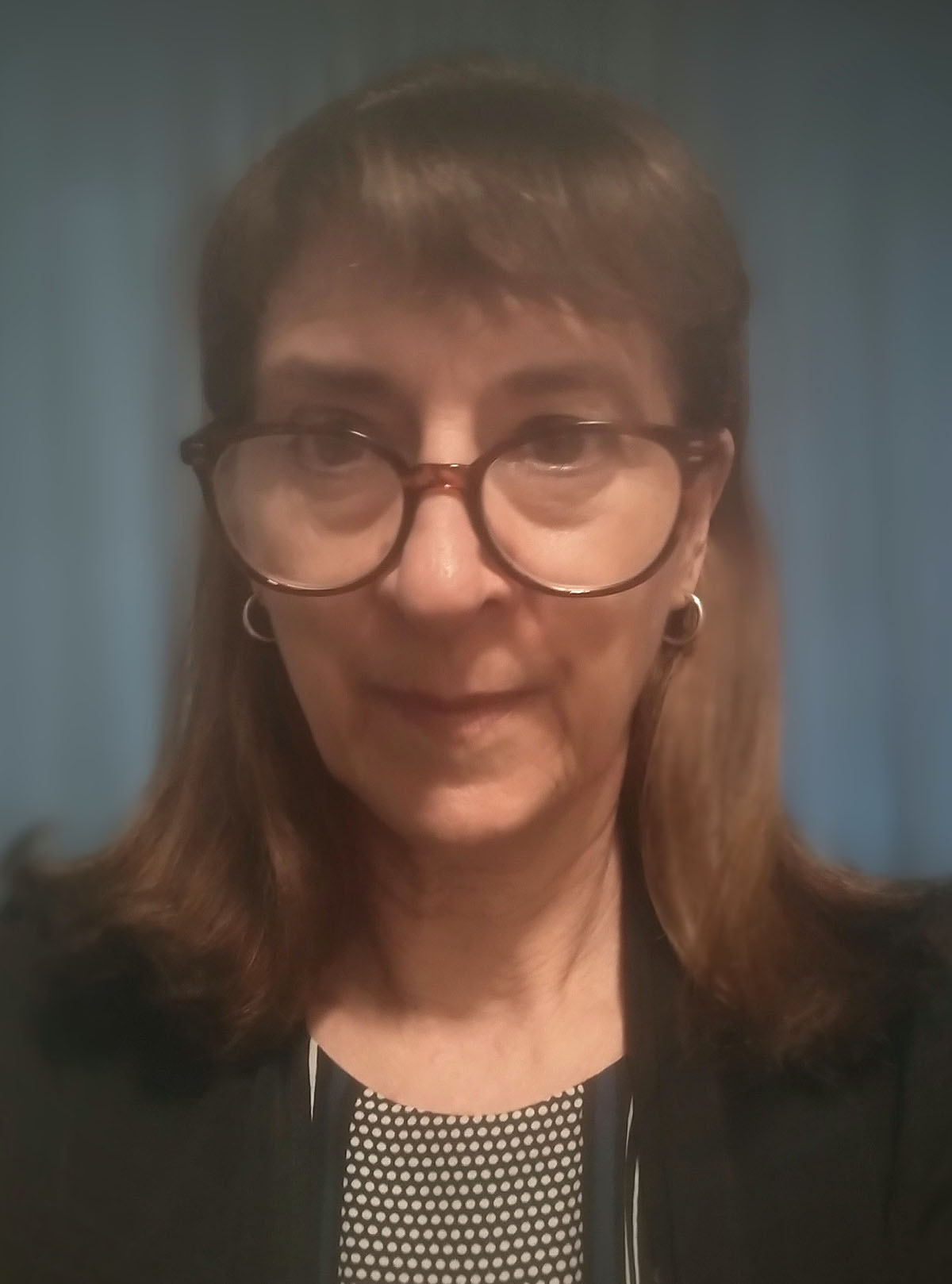 Lisa Anne Storer
